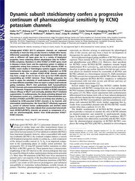 Dynamic Subunit Stoichiometry Confers a Progressive Continuum of Pharmacological Sensitivity by KCNQ Potassium Channels
