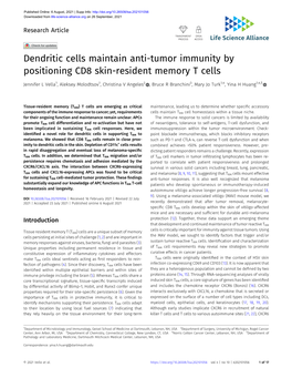 Dendritic Cells Maintain Anti-Tumor Immunity by Positioning CD8 Skin-Resident Memory T Cells
