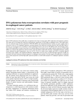 DNA Polymerase Beta Overexpression Correlates with Poor Prognosis in Esophageal Cancer Patients