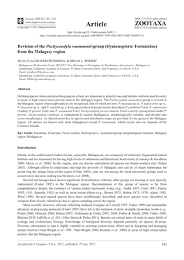 Revision of the Pachycondyla Wasmannii-Group (Hymenoptera: Formicidae) from the Malagasy Region