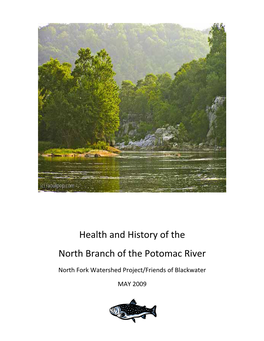 Health and History of the North Branch of the Potomac River