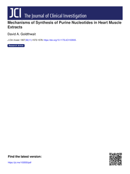 Mechanisms of Synthesis of Purine Nucleotides in Heart Muscle Extracts