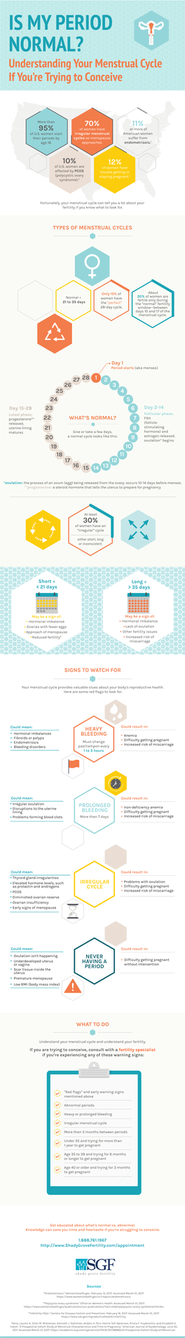 Understanding Your Menstrual Cycle If You're Trying to Conceive