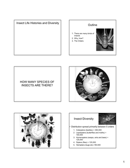 Insect Life Histories and Diversity Outline HOW MANY SPECIES OF