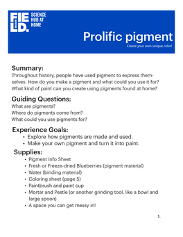 Prolific Pigmentfinal4.19.20 Copy