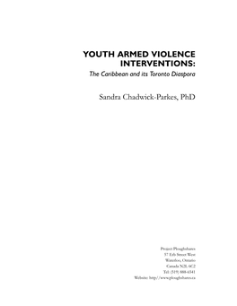 YOUTH ARMED VIOLENCE INTERVENTIONS: the Caribbean and Its Toronto Diaspora