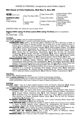 HORSE in TRAINING, Consigned by Jamie Railton (Agent)