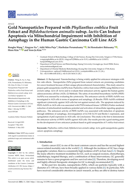 Gold Nanoparticles Prepared with Phyllanthus Emblica Fruit Extract and Biﬁdobacterium Animalis Subsp