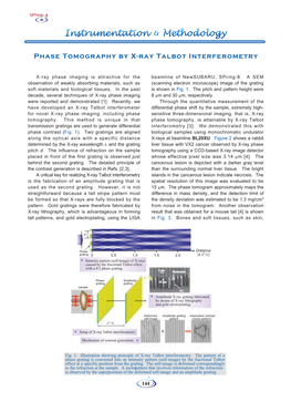 Phase Tomography by X-Ray Talbot Interferometry