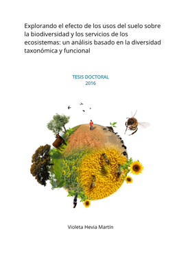 Explorando El Efecto De Los Usos Del Suelo Sobre La Biodiversidad Y Los Servicios De Los Ecosistemas: Un Análisis Basado En La Diversidad Taxonómica Y Funcional