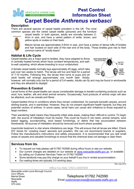 Carpet Beetle Anthrenus Verbasci Description There Are Several Species of Carpet Beetle Prevalent in the UK