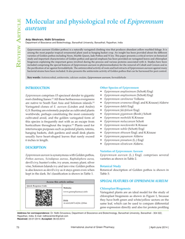 Molecular and Physiological Role of Epipremnum Aureum