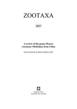 Zootaxa, a Review of the Genus Pholcus (Araneae
