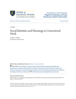 Social Identities and Meanings in Correctional Work Caitlin C