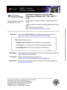 Cells T+ HLA-DR + Processing in Human CD4 Cathepsin S