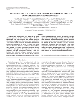 Adhering Process Among Single Cells of Hydra 1699