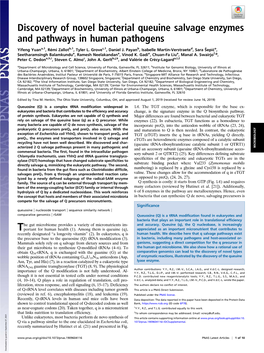 Discovery of Novel Bacterial Queuine Salvage Enzymes and Pathways in Human Pathogens