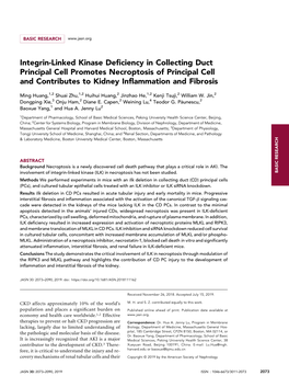 Integrin-Linked Kinase Deficiency in Collecting Duct Principal Cell