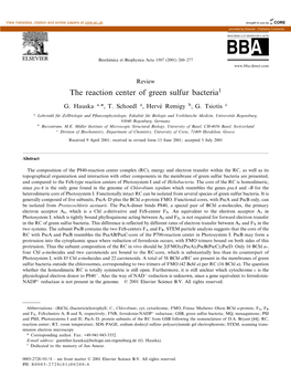 The Reaction Center of Green Sulfur Bacteria1