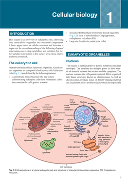 Cellular Biology 1