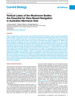 Vertical Lobes of the Mushroom Bodies Are Essential for View