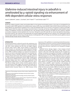 Glafenine-Induced Intestinal Injury in Zebrafish Is Ameliorated by -Opioid Signaling Via Enhancement of Atf6-Dependent Cellular Stress Responses