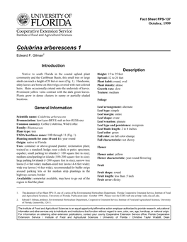 Colubrina Arborescens 1 Edward F