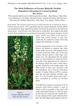 The Moth Pollinators of Greater Butterfly Orchids Platanthera