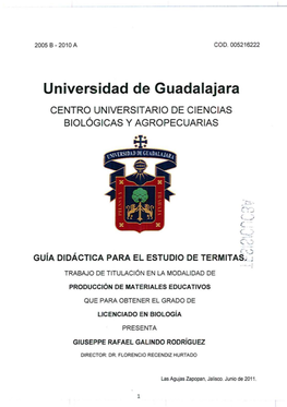 Universidad De Guadalajara