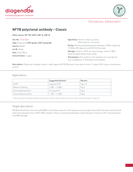 NFYB Polyclonal Antibody - Classic