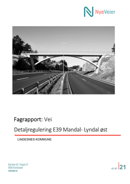 Fagrapport: Vei Detaljregulering E39 Mandal- Lyndal Øst