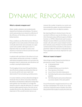 Dynamic Renogram