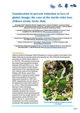 The Case of the Sterile Relict Tree Zelkova Sicula, Sicily, Italy