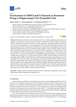 Involvement of TRPC4 and 5 Channels in Persistent Firing in Hippocampal CA1 Pyramidal Cells