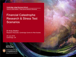 Financial Catastrophe Research & Stress Test Scenarios