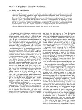 Numts in Sequenced Eukaryotic Genomes