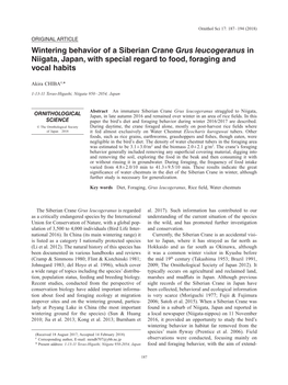 Wintering Behavior of a Siberian Crane Grus Leucogeranus in Niigata, Japan, with Special Regard to Food, Foraging and Vocal Habits