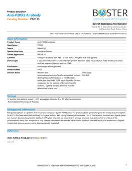 Datasheet PB0339 Anti-P2RX5 Antibody