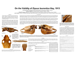 On the Validity of Equus Laurentius Hay, 1913 Eric Scott, Division of Geological Sciences, San Bernardino County Museum, Redlands, California Thomas W