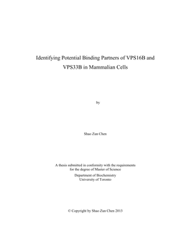 Identifying Potential Binding Partners of VPS16B and VPS33B in Mammalian Cells