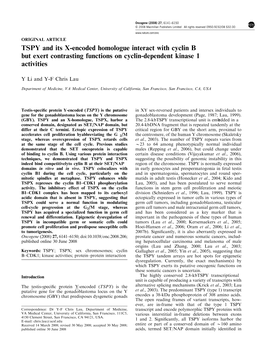 TSPY and Its X-Encoded Homologue Interact with Cyclin B but Exert Contrasting Functions on Cyclin-Dependent Kinase 1 Activities