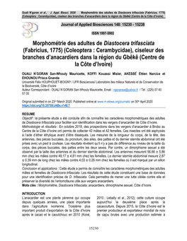 Morphométrie Des Adultes De Diastocera Trifasciata (Fabricius