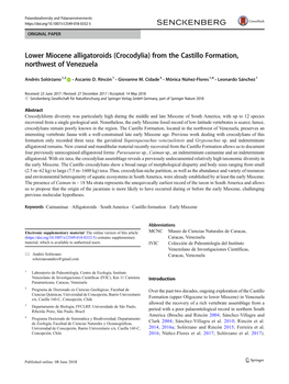 Lower Miocene Alligatoroids (Crocodylia) from the Castillo Formation, Northwest of Venezuela