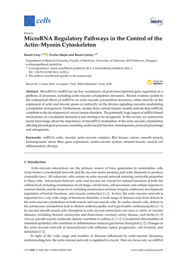 Microrna Regulatory Pathways in the Control of the Actin–Myosin Cytoskeleton