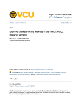 Exploring the Heteromeric Interface of the 5-HT2A-Mglu2 Receptor Complex