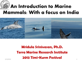 An Introduction to Marine Mammals: with a Focus on India