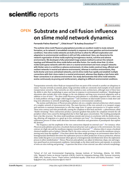 Substrate and Cell Fusion Influence on Slime Mold Network Dynamics