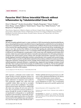 Paracrine Wnt1 Drives Interstitial Fibrosis Without Inflammation by Tubulointerstitial Cross-Talk