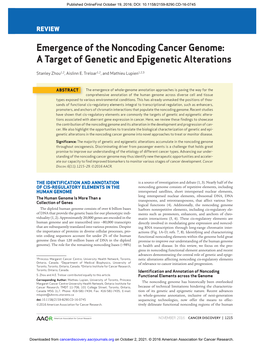 Emergence of the Noncoding Cancer Genome: a Target of Genetic and Epigenetic Alterations