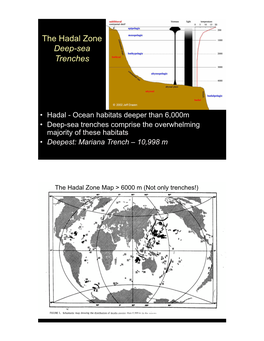 The Hadal Zone Deep-Sea Trenches